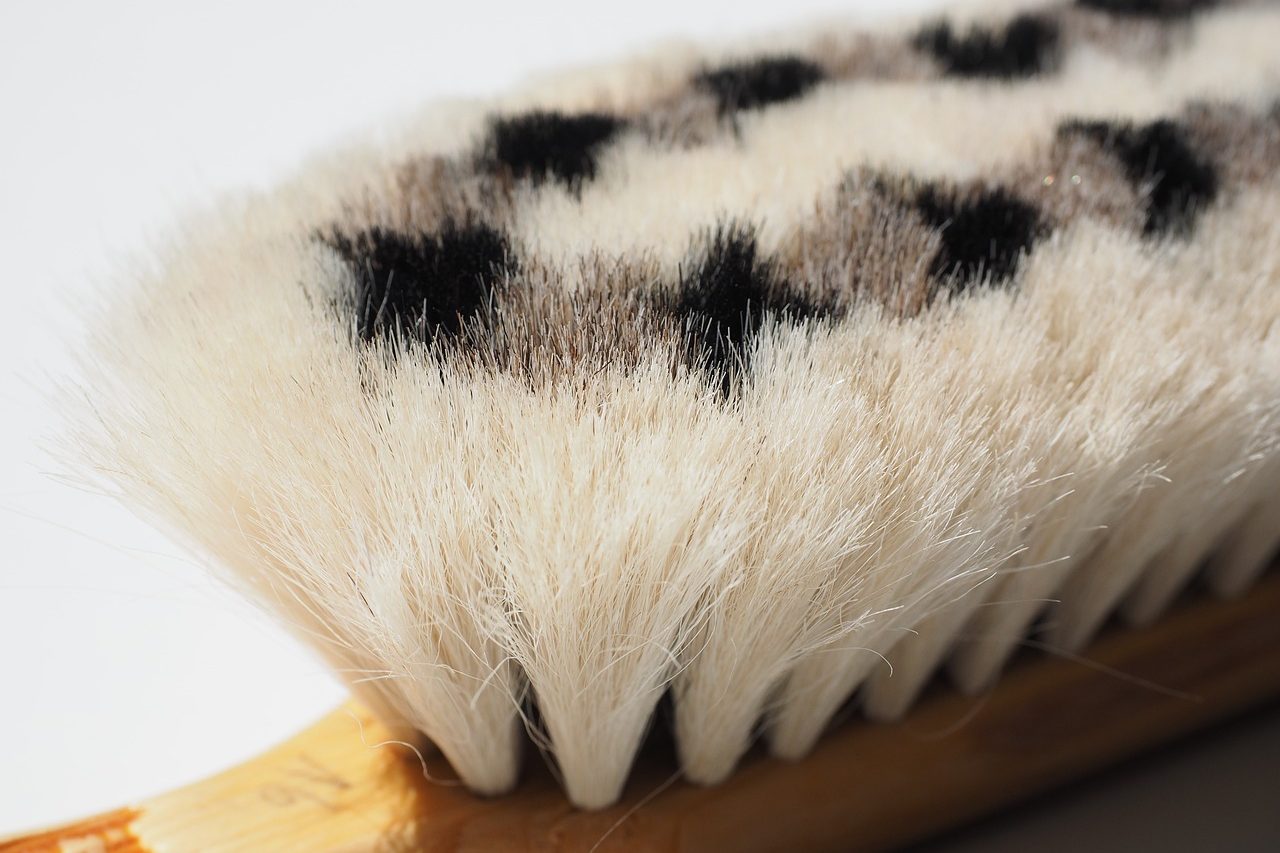 goat hair brush, brush, bristles-592399.jpg